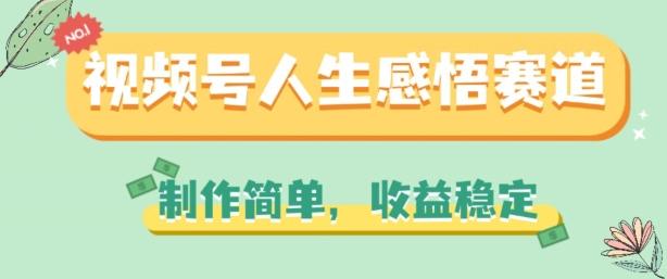 视频号人生感悟赛道，制作简单，收益稳定【揭秘】-点子口袋网