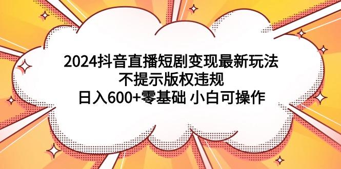 (9305期)2024抖音直播短剧变现最新玩法，不提示版权违规 日入600+零基础 小白可操作-点子口袋网