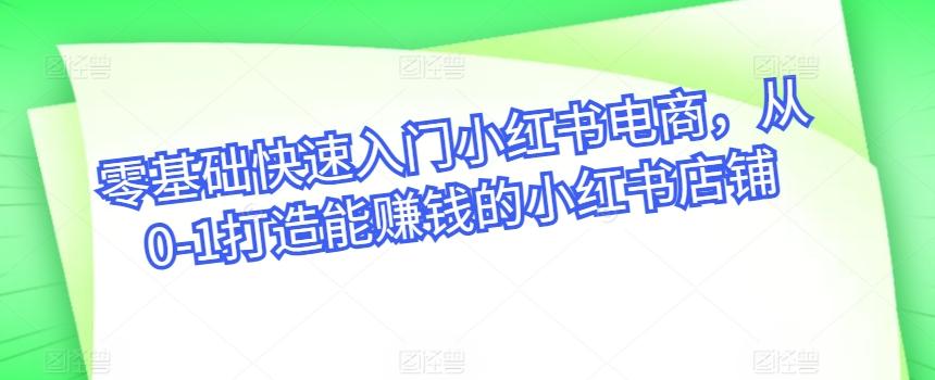 零基础快速入门小红书电商，从0-1打造能赚钱的小红书店铺-点子口袋网