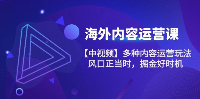 海外内容 运营课【中视频】多种内容运营玩法 风口正当时 掘金好时机-101节-点子口袋网
