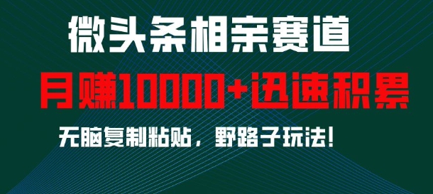 微头条相亲赛道，迅速积累，无脑复制粘贴，野路子玩法，月入1w-点子口袋网