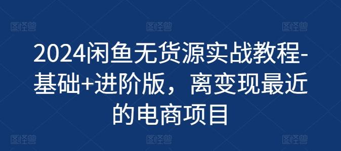 2024闲鱼无货源实战教程-基础+进阶版，离变现最近的电商项目-点子口袋网