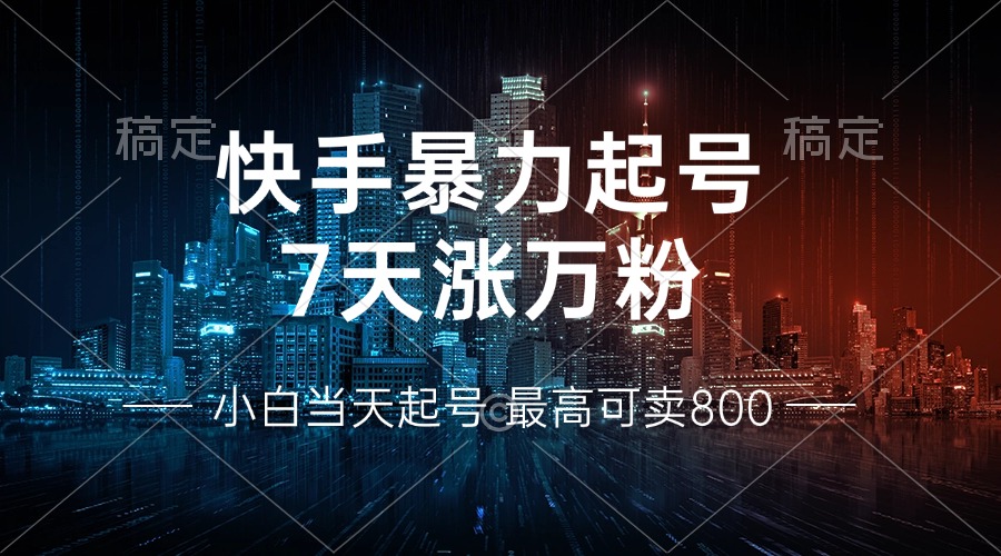 快手暴力起号，7天涨万粉，小白当天起号 多种变现方式，账号回收，单月...-点子口袋网