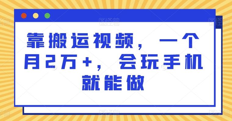 靠搬运视频，一个月2万+，会玩手机就能做-点子口袋网