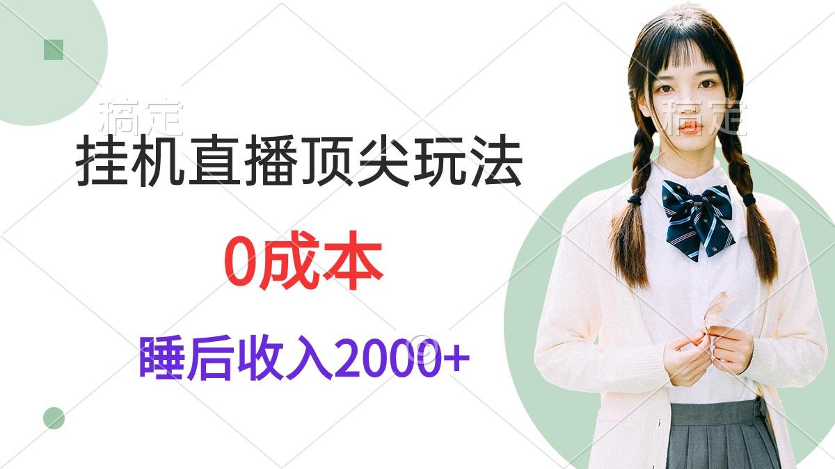 (9715期)挂机直播顶尖玩法，睡后日收入2000+、0成本，视频教学-点子口袋网