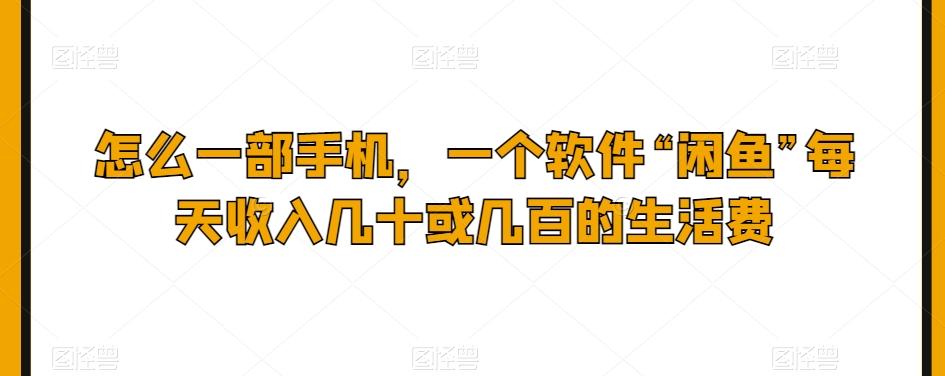 怎么一部手机，一个软件“闲鱼”每天收入几十或几百的生活费-点子口袋网
