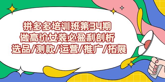 (9333期)拼多多培训班第34期：做高价女装必盈利剖析  选品/测款/运营/推广/拓展-点子口袋网