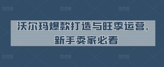 沃尔玛爆款打造与旺季运营，新手卖家必看-点子口袋网
