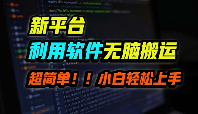 B站平台用软件无脑搬运，月赚10000+，小白也能轻松上手-点子口袋网