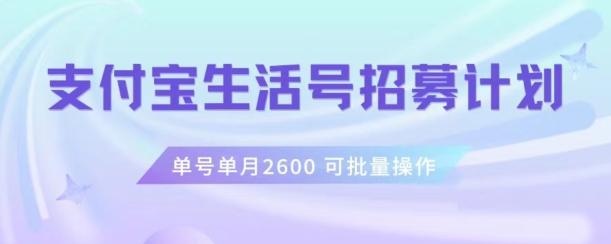 支付宝生活号作者招募计划，单号单月2600，可批量去做，工作室一人一个月轻松1w+【揭秘】-点子口袋网