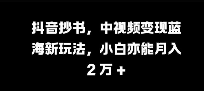 抖音抄书，中视频变现蓝海新玩法，小白亦能月入 过W【揭秘】-点子口袋网