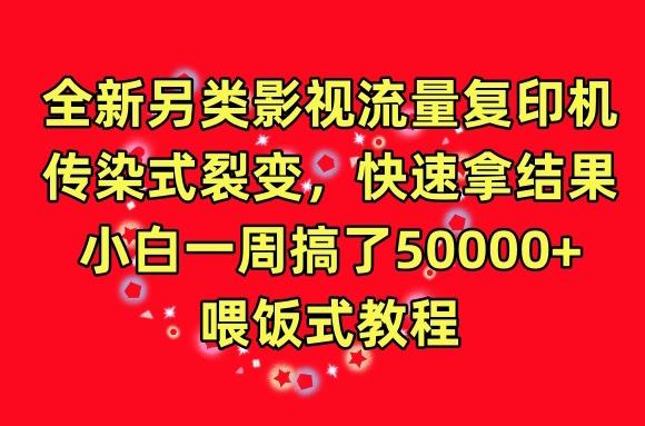 全新另类影视流量复印机，传染式裂变，快速拿结果，小白一周搞了50000+，喂饭式教程【揭秘】-点子口袋网