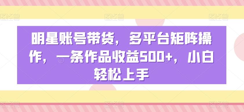 明星账号带货，多平台矩阵操作，一条作品收益500+，小白轻松上手【揭秘】-点子口袋网