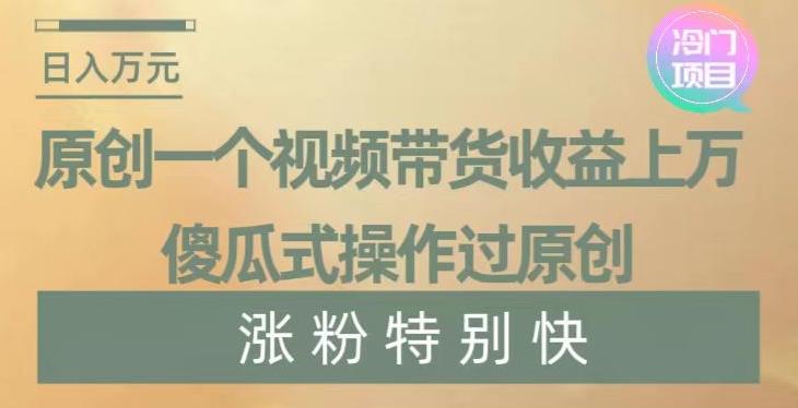 原创一个视频带货收益上万，傻瓜式操作过原创，几分钟做一个视频涨粉特别快【揭秘】-点子口袋网
