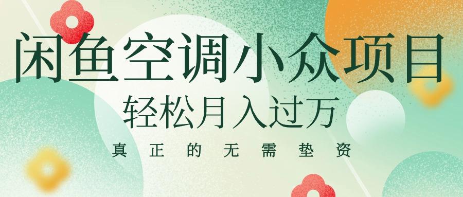 闲鱼卖空调小众项目 轻松月入过万 真正的无需垫资金-点子口袋网
