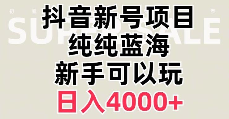 抖音蓝海赛道，必须是新账号，日入4000+【揭秘】-点子口袋网
