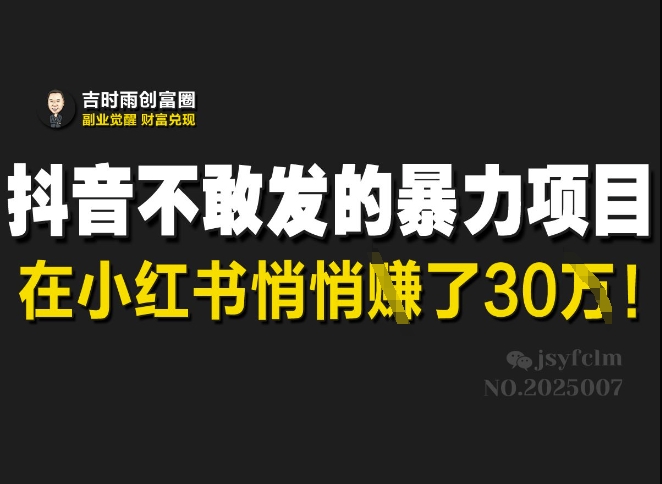 抖音不敢发的暴利项目，在小红书悄悄挣了30W-点子口袋网