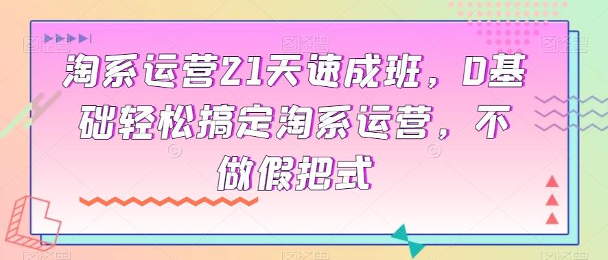 淘系运营21天速成班，0基础轻松搞定淘系运营，不做假把式-点子口袋网