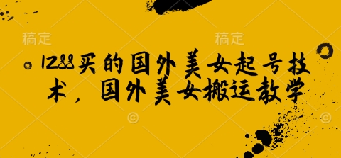 1288买的国外美女起号技术，国外美女搬运教学-点子口袋网