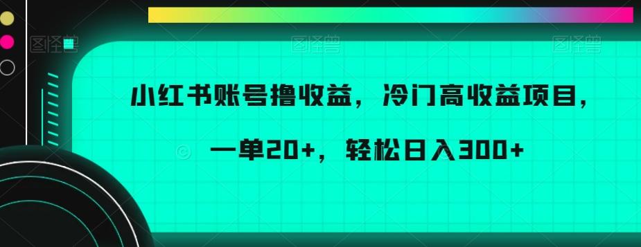 小红书账号撸收益，冷门高收益项目，一单20+，轻松日入300+【揭秘】-点子口袋网