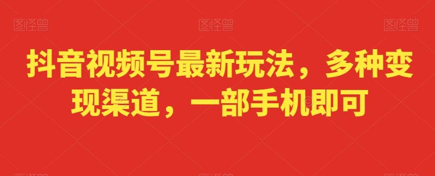 抖音视频号最新玩法，多种变现渠道，一部手机即可-点子口袋网