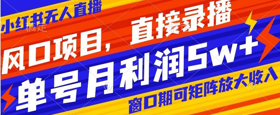 风口项目，小红书无人直播带货，直接录播，可矩阵，月入5w+【揭秘】-点子口袋网