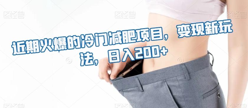 近期火爆的冷门减肥项目，变现新玩法，日入200+-点子口袋网