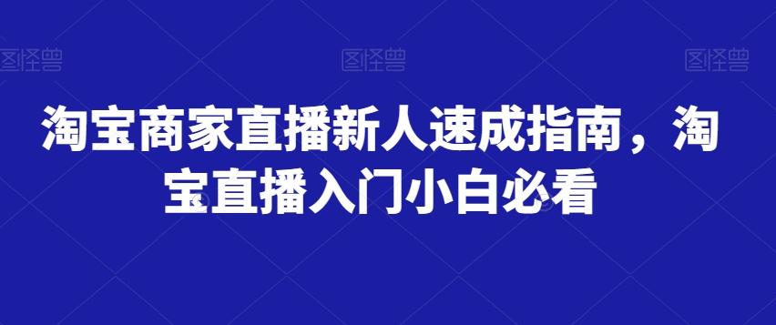 淘宝商家直播新人速成指南，淘宝直播入门小白必看-点子口袋网