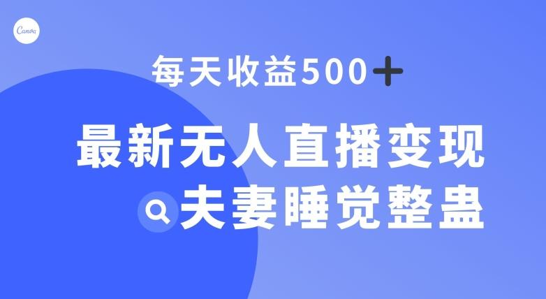 最新无人直播变现，夫妻睡觉整蛊，每天躺赚500+【揭秘】-点子口袋网