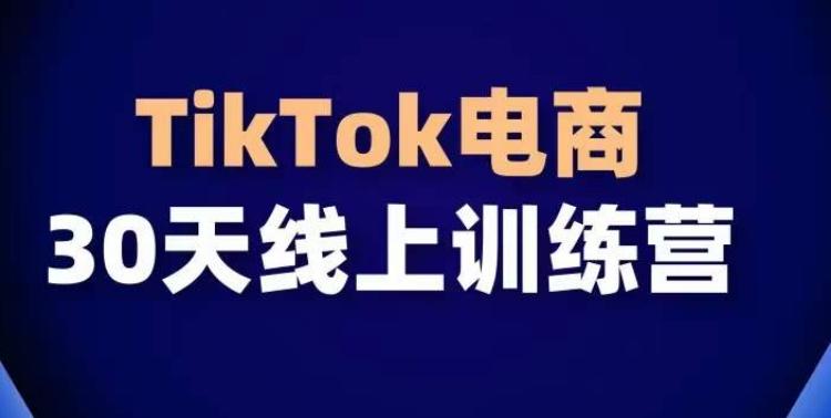 TikTok电商带货30天线上课，不可错过的全球流量洼地！-点子口袋网
