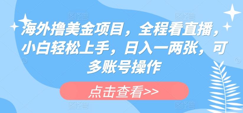 海外撸美金项目，全程看直播，小白轻松上手，日入一两张，可多账号操作【揭秘】-点子口袋网