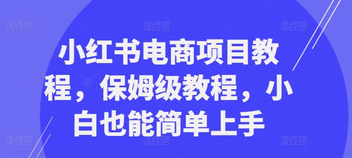 小红书电商项目教程，保姆级教程，小白也能简单上手-点子口袋网