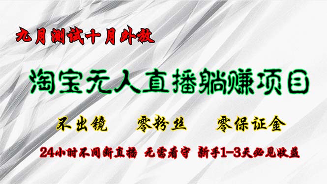 淘宝无人直播最新玩法，九月测试十月外放，不出镜零粉丝零保证金，24小...-点子口袋网
