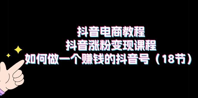 抖音电商教程：抖音涨粉变现课程：如何做一个赚钱的抖音号(18节-点子口袋网