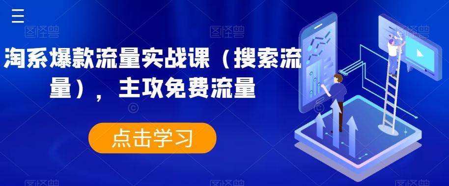 淘系爆款流量实战课（搜索流量），主攻免费流量-点子口袋网