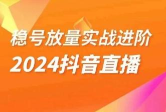 稳号放量实战进阶—2024抖音直播，直播间精细化运营的几大步骤-点子口袋网