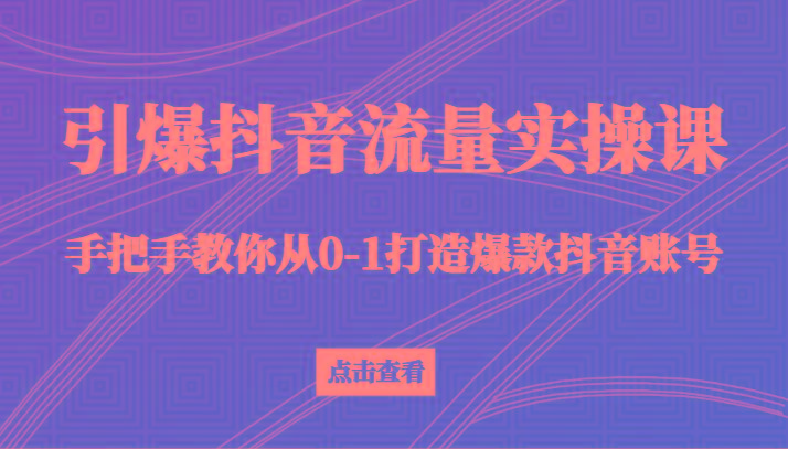引爆抖音流量实操课，手把手教你从0-1打造爆款抖音账号(27节课)-点子口袋网