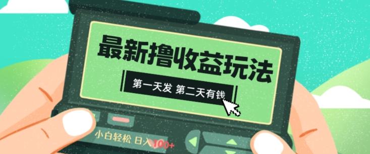 2024最新撸视频收益玩法，第一天发，第二天就有钱-点子口袋网