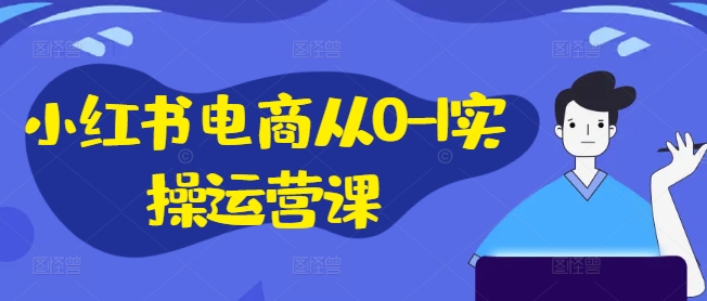 小红书电商从0-1实操运营课，小红书手机实操小红书/IP和私域课/小红书电商电脑实操板块等-点子口袋网