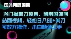 冷门撸美刀项目，利用国外网站刷视频，轻松日入80+美刀，可放大操作，小白随便上手-点子口袋网