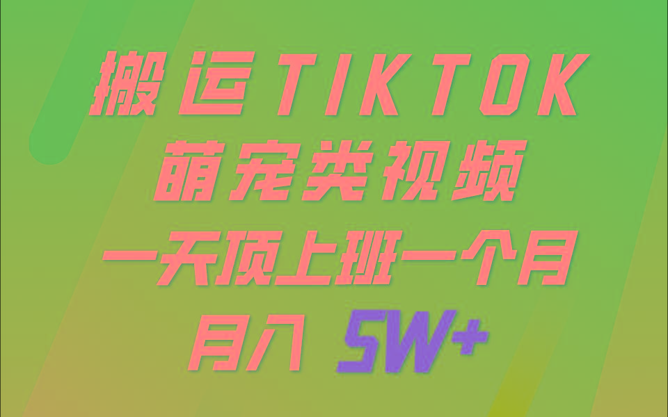 一键搬运TIKTOK萌宠类视频，一部手机即可操作，所有平台均可发布 轻松月入5W+-点子口袋网