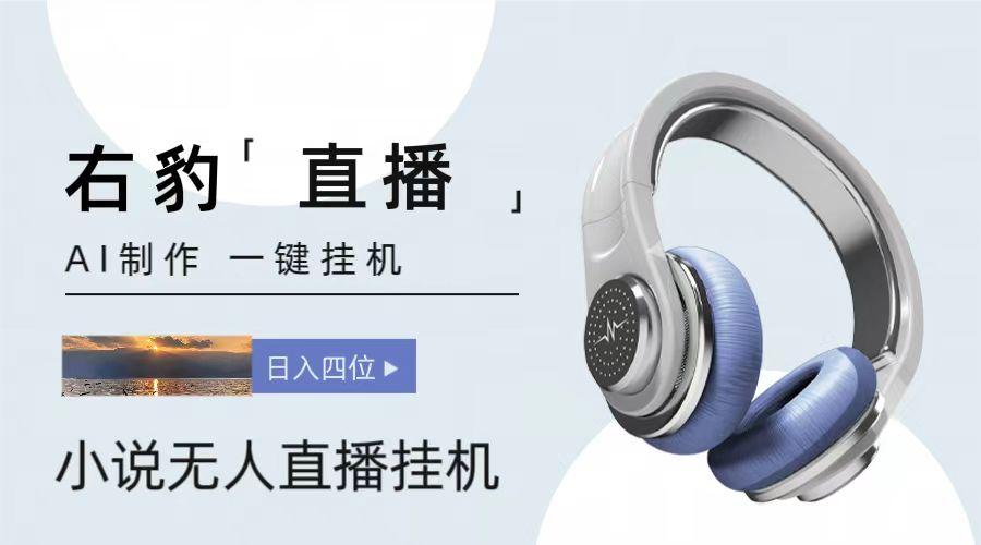 右豹小说无人直播挂机吸金项目，简单易行收益稳定， 月入1000+-点子口袋网