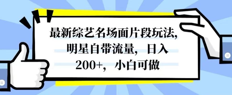 最新综艺名场面片段玩法，明星自带流量，日入200+，小白可做【揭秘】-点子口袋网