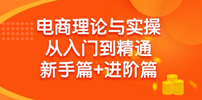 (9576期)电商理论与实操从入门到精通 新手篇+进阶篇-点子口袋网
