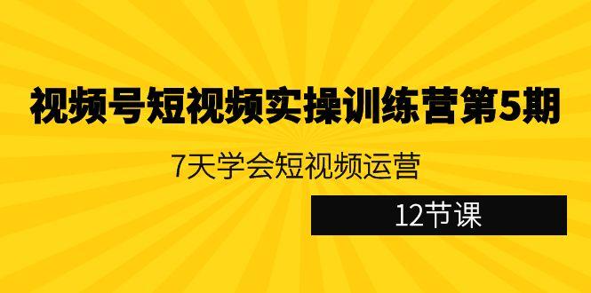 视频号短视频实操训练营第5期：7天学会短视频运营(12节课)-点子口袋网