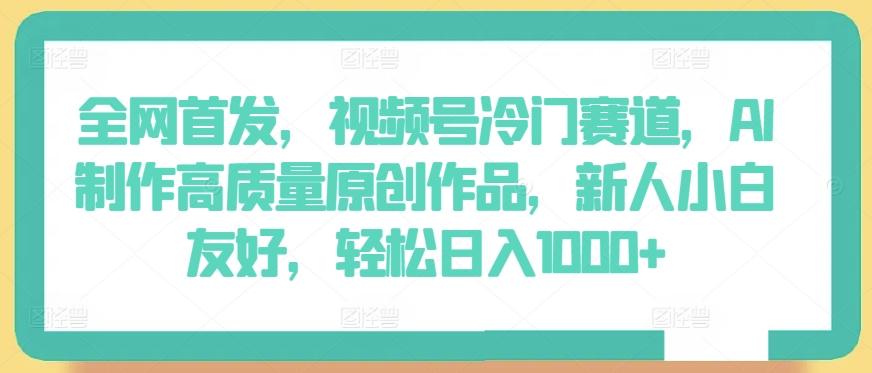 全网首发，视频号冷门赛道，AI制作高质量原创作品，新人小白友好，轻松日入1000+【揭秘】-点子口袋网