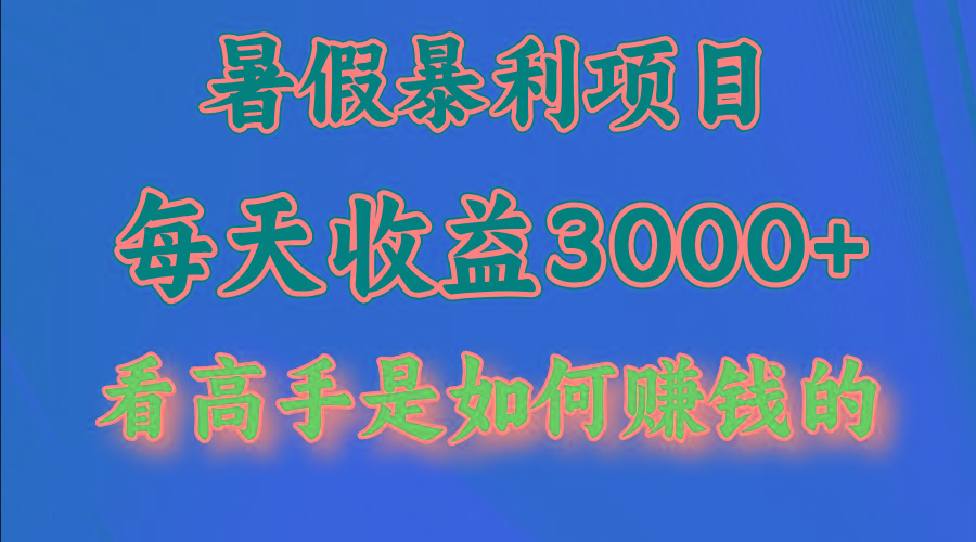暑假暴力项目 1天收益3000+，视频号，快手，不露脸直播.次日结算-点子口袋网