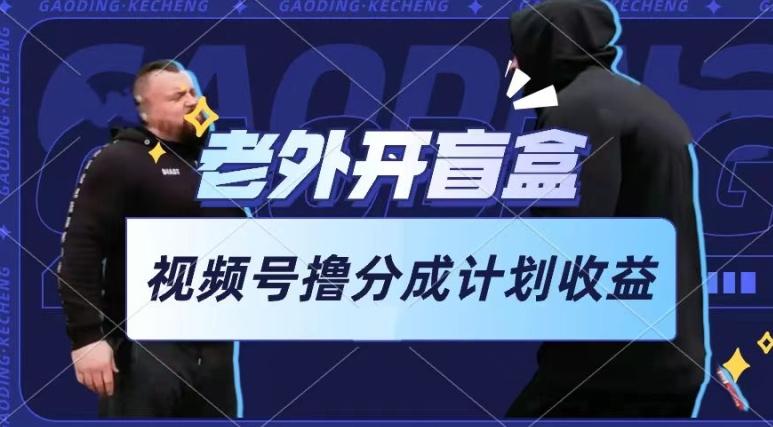 老外开盲盒视频，撸视频号分成计划收益，每天只需一小时，新手小白轻松上手【揭秘】-点子口袋网