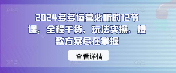 2024多多运营必听的12节课，全程干货，玩法实操，爆款方案尽在掌握-点子口袋网