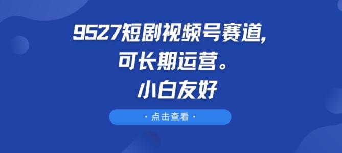 9527短剧视频号赛道，可长期运营，小白友好【揭秘】-点子口袋网